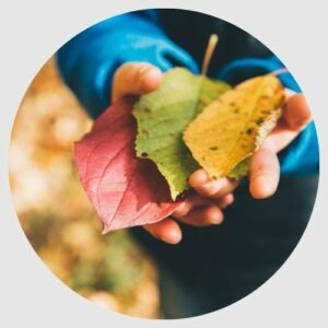 micro crèche Angers - feuilles d'automne dans les mains d'un enfant